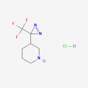 3-[3-(trifluoromethyl)-3H-diazirin-3-yl]piperidine hydrochloride