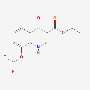ethyl 8-(difluoromethoxy)-4-oxo-1H-quinoline-3-carboxylate