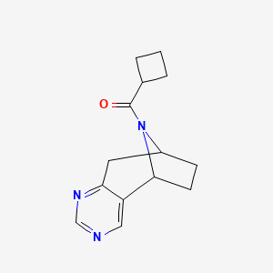 molecular formula C14H17N3O B2945116 cyclobutyl((5R,8S)-6,7,8,9-tetrahydro-5H-5,8-epiminocyclohepta[d]pyrimidin-10-yl)methanone CAS No. 1904182-77-9