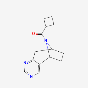 molecular formula C14H17N3O B2945116 12-Cyclobutanecarbonyl-4,6,12-triazatricyclo[7.2.1.0^{2,7}]dodeca-2(7),3,5-triene CAS No. 1904182-77-9