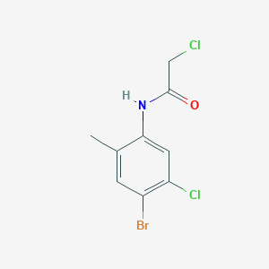 molecular formula C9H8BrCl2NO B2946466 N-(4-Bromo-5-chloro-2-methylphenyl)-2-chloroacetamide CAS No. 2019378-41-5