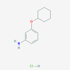 molecular formula C12H18ClNO B2947088 3-Cyclohexyloxyaniline;hydrochloride CAS No. 2375262-47-6