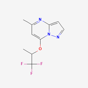 5-Methyl-7-[(1,1,1-trifluoropropan-2-yl)oxy]pyrazolo[1,5-a]pyrimidine