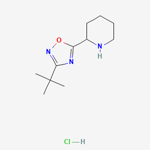 2-(3-tert-Butyl-1,2,4-oxadiazol-5-yl)piperidine hydrochloride