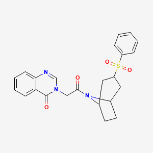 3-(2-oxo-2-((1R,5S)-3-(phenylsulfonyl)-8-azabicyclo[3.2.1]octan-8-yl)ethyl)quinazolin-4(3H)-one