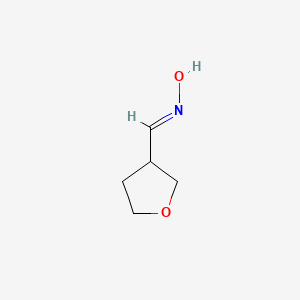 molecular formula C5H9NO2 B2950595 Tetrahydrofuran-3-carbaldehyde oxime CAS No. 1809056-16-3