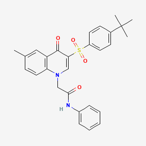 molecular formula C28H28N2O4S B2950743 2-[3-(4-tert-butylphenyl)sulfonyl-6-methyl-4-oxoquinolin-1-yl]-N-phenylacetamide CAS No. 866843-70-1