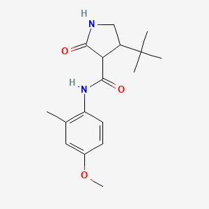 4-tert-butyl-N-(4-methoxy-2-methylphenyl)-2-oxopyrrolidine-3-carboxamide