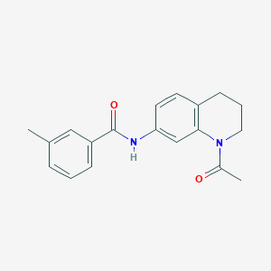 molecular formula C19H20N2O2 B2950991 N-(1-acetyl-3,4-dihydro-2H-quinolin-7-yl)-3-methylbenzamide CAS No. 898465-11-7