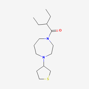 2-Ethyl-1-(4-(tetrahydrothiophen-3-yl)-1,4-diazepan-1-yl)butan-1-one