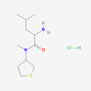 molecular formula C11H23ClN2OS B2951380 2-amino-N,4-dimethyl-N-(thiolan-3-yl)pentanamide hydrochloride CAS No. 1423028-27-6