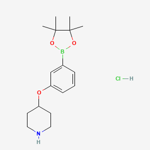 4-[3-(Tetramethyl-1,3,2-dioxaborolan-2-yl)phenoxy]piperidine hydrochloride