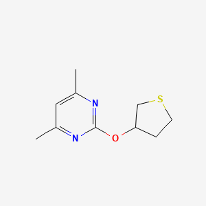 molecular formula C10H14N2OS B2953823 4,6-Dimethyl-2-(thiolan-3-yloxy)pyrimidine CAS No. 2195879-69-5