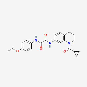 molecular formula C23H25N3O4 B2953922 N'-[1-(cyclopropanecarbonyl)-3,4-dihydro-2H-quinolin-7-yl]-N-(4-ethoxyphenyl)oxamide CAS No. 898429-52-2