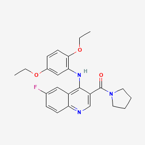 molecular formula C24H26FN3O3 B2953992 (4-((2,5-Diethoxyphenyl)amino)-6-fluoroquinolin-3-yl)(pyrrolidin-1-yl)methanone CAS No. 1357729-40-8