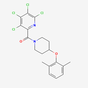 molecular formula C19H18Cl4N2O2 B2954694 2,3,4,5-Tetrachloro-6-[4-(2,6-dimethylphenoxy)piperidine-1-carbonyl]pyridine CAS No. 1445128-66-4