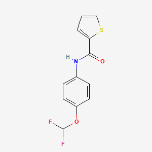 N-[4-(difluoromethoxy)phenyl]thiophene-2-carboxamide