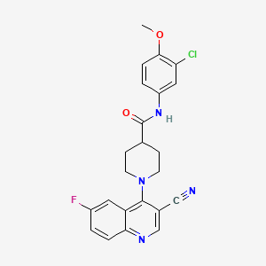 N-(3-chloro-4-methoxyphenyl)-1-(3-cyano-6-fluoroquinolin-4-yl)piperidine-4-carboxamide
