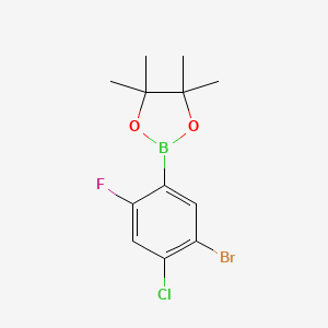 molecular formula C12H14BBrClFO2 B2956683 5-Bromo-4-chloro-2-fluorophenylboronic acid pinacol ester CAS No. 2377606-53-4