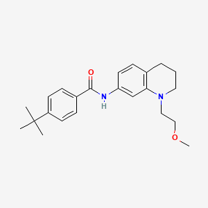 molecular formula C23H30N2O2 B2957853 4-(tert-butyl)-N-(1-(2-methoxyethyl)-1,2,3,4-tetrahydroquinolin-7-yl)benzamide CAS No. 1172014-51-5
