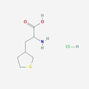 molecular formula C7H14ClNO2S B2958604 2-Amino-3-(thiolan-3-yl)propanoic acid;hydrochloride CAS No. 2287259-45-2