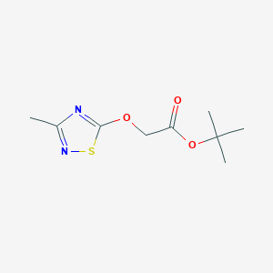 Tert-butyl 2-[(3-methyl-1,2,4-thiadiazol-5-yl)oxy]acetate