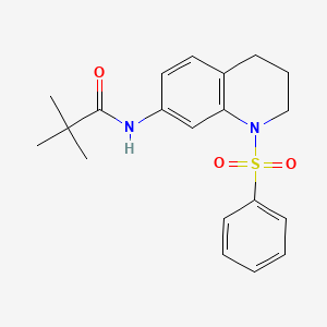 molecular formula C20H24N2O3S B2959729 N-(1-(苯磺酰基)-1,2,3,4-四氢喹啉-7-基)叔丁酰胺 CAS No. 946222-20-4