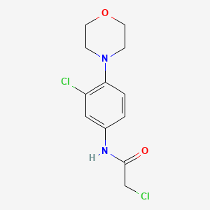 2-Chloro-N-(3-chloro-4-morpholin-4-yl-phenyl)-acetamide