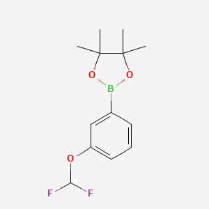 2-(3-(Difluoromethoxy)phenyl)-4,4,5,5-tetramethyl-1,3,2-dioxaborolane