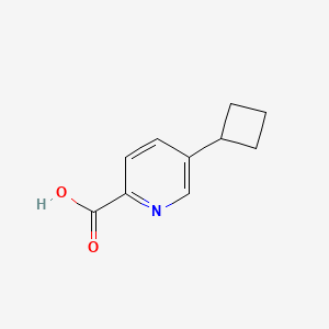 molecular formula C10H11NO2 B2962186 5-Cyclobutylpicolinic acid CAS No. 1451393-53-5