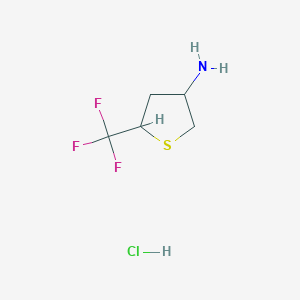 molecular formula C5H9ClF3NS B2962342 5-(Trifluoromethyl)thiolan-3-amine;hydrochloride CAS No. 2413883-46-0