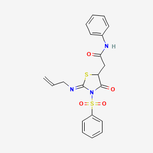 (Z)-2-(2-(allylimino)-4-oxo-3-(phenylsulfonyl)thiazolidin-5-yl)-N-phenylacetamide
