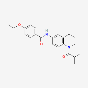 4-ethoxy-N-(1-isobutyryl-1,2,3,4-tetrahydroquinolin-6-yl)benzamide