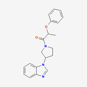 molecular formula C20H21N3O2 B2963399 1-(3-(1H-benzo[d]imidazol-1-yl)pyrrolidin-1-yl)-2-phenoxypropan-1-one CAS No. 2034420-46-5