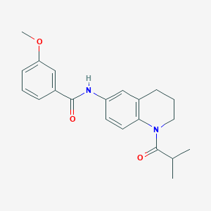 molecular formula C21H24N2O3 B2966327 N-(1-异丁酰-1,2,3,4-四氢喹啉-6-基)-3-甲氧基苯甲酰胺 CAS No. 941960-70-9