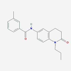 3-methyl-N-(2-oxo-1-propyl-1,2,3,4-tetrahydroquinolin-6-yl)benzamide