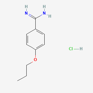 molecular formula C10H15ClN2O B2968020 4-Propoxybenzimidamide hydrochloride CAS No. 29148-01-4; 31065-93-7