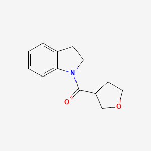 1-(oxolane-3-carbonyl)-2,3-dihydro-1H-indole