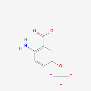 molecular formula C12H14F3NO3 B2968431 Tert-butyl 2-amino-5-(trifluoromethoxy)benzoate CAS No. 2248360-82-7