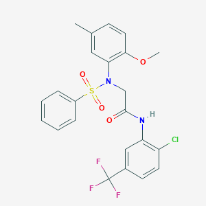 molecular formula C23H20ClF3N2O4S B296925 N-[2-chloro-5-(trifluoromethyl)phenyl]-2-[2-methoxy-5-methyl(phenylsulfonyl)anilino]acetamide 