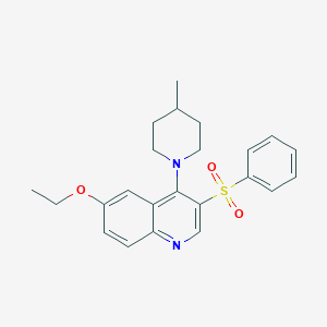 molecular formula C23H26N2O3S B2969699 3-(Benzenesulfonyl)-6-ethoxy-4-(4-methylpiperidin-1-yl)quinoline CAS No. 866843-15-4