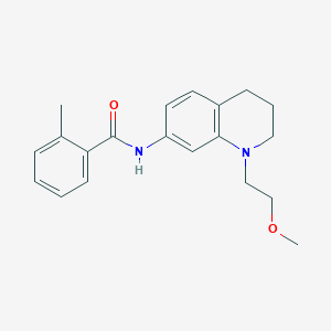molecular formula C20H24N2O2 B2969816 N-(1-(2-methoxyethyl)-1,2,3,4-tetrahydroquinolin-7-yl)-2-methylbenzamide CAS No. 1171781-37-5