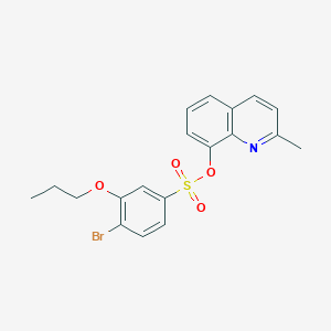 molecular formula C19H18BrNO4S B2972180 2-Methylquinolin-8-yl 4-bromo-3-propoxybenzene-1-sulfonate CAS No. 2380177-35-3
