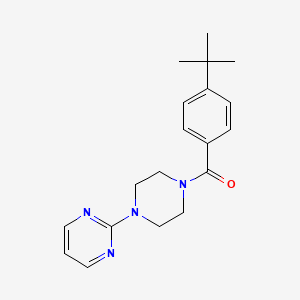 molecular formula C19H24N4O B2972422 2-[4-(4-叔丁基苯甲酰)哌嗪-1-基]嘧啶 CAS No. 546080-20-0