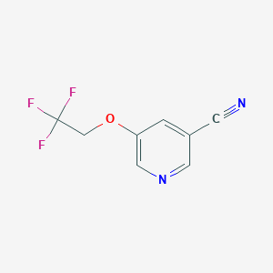 5-(2,2,2-Trifluoroethoxy)nicotinonitrile