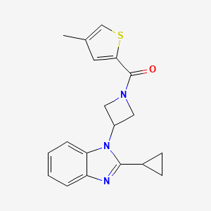 molecular formula C19H19N3OS B2972526 [3-(2-Cyclopropylbenzimidazol-1-yl)azetidin-1-yl]-(4-methylthiophen-2-yl)methanone CAS No. 2379984-48-0