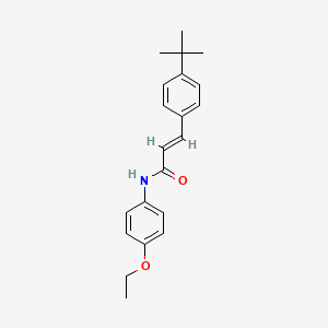 molecular formula C21H25NO2 B2972621 (2E)-3-(4-tert-butylphenyl)-N-(4-ethoxyphenyl)prop-2-enamide CAS No. 256955-14-3
