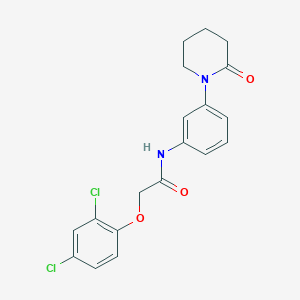 2-(2,4-dichlorophenoxy)-N-(3-(2-oxopiperidin-1-yl)phenyl)acetamide