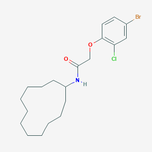 molecular formula C20H29BrClNO2 B297340 2-(4-bromo-2-chlorophenoxy)-N-cyclododecylacetamide 