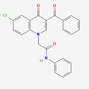 2-(3-benzoyl-6-chloro-4-oxoquinolin-1(4H)-yl)-N-phenylacetamide